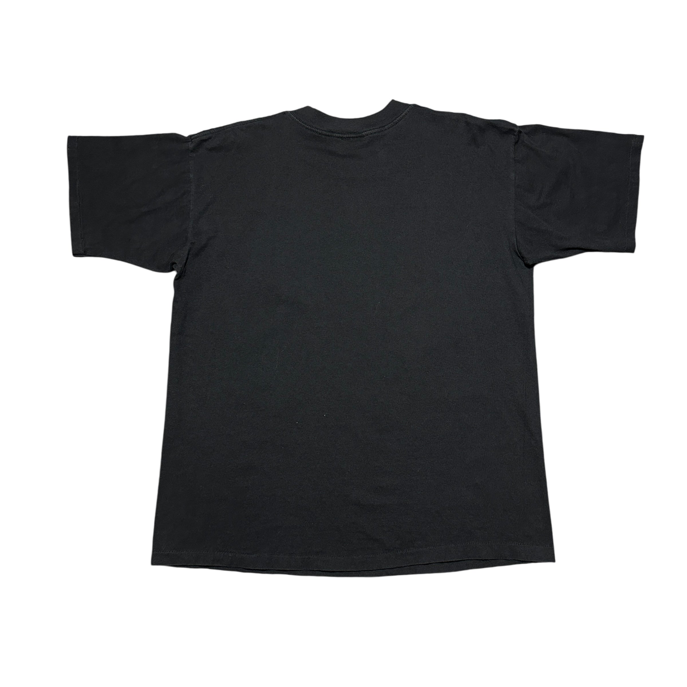 1994 Brickyard 400 Racing Lightning Thunder