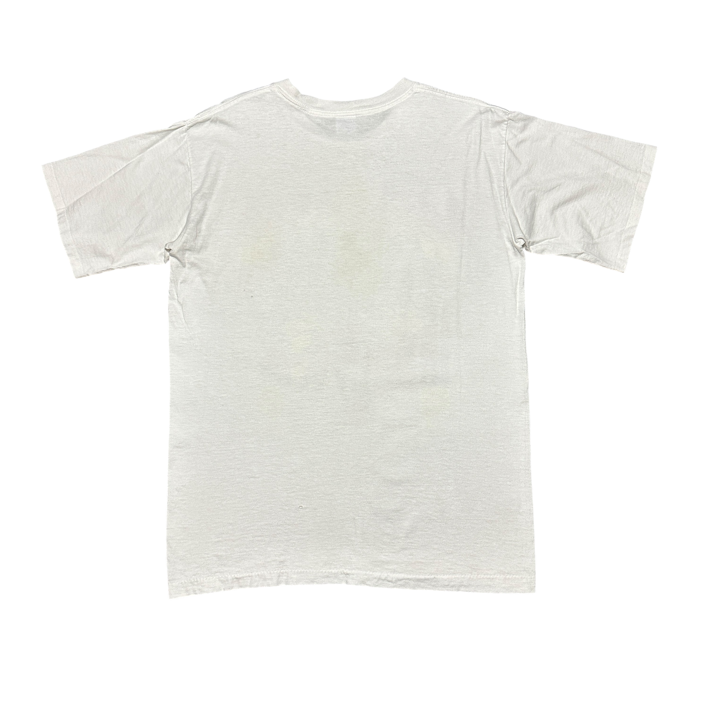 1990s Chicago Bulls Salem Comic