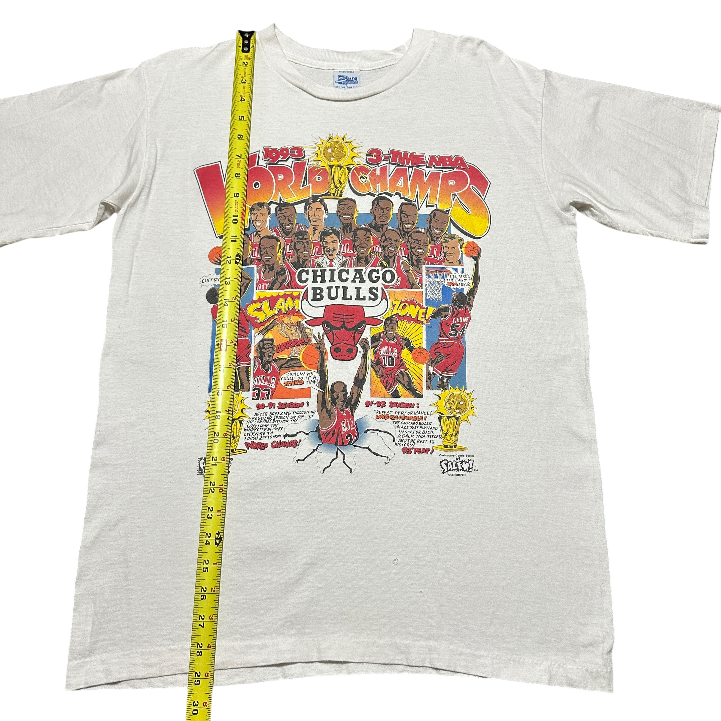 1990s Chicago Bulls Salem Comic