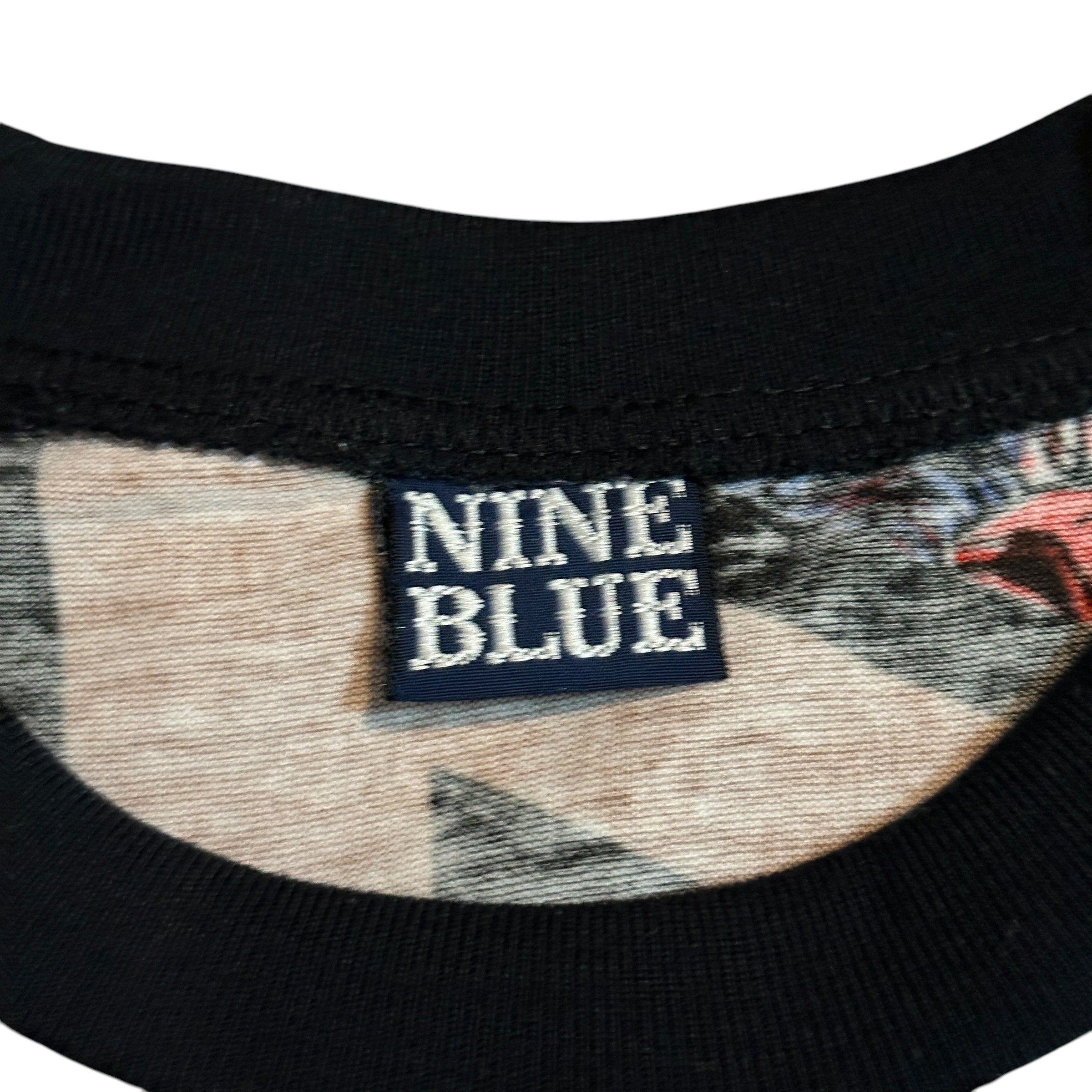 1990s/00s Rockman Megaman AOP